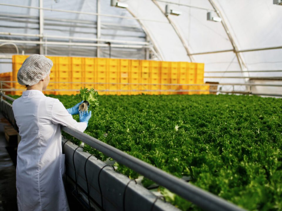 الهندسة الزراعية